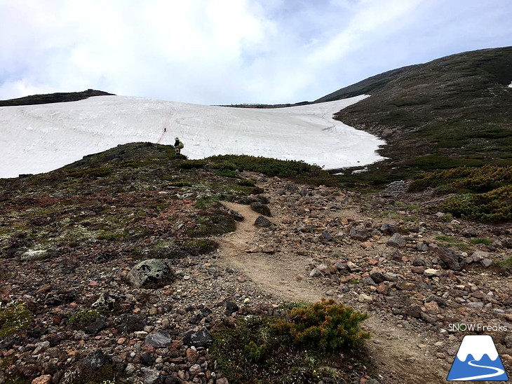 7月でも滑れる！大雪山黒岳～北鎮岳、残雪スノーボード滑走♪